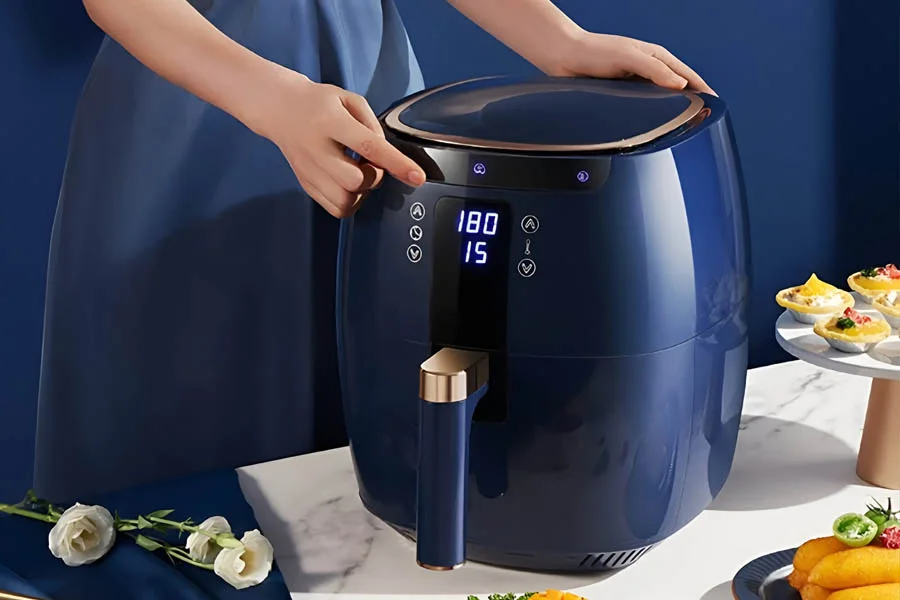 nice air fryer