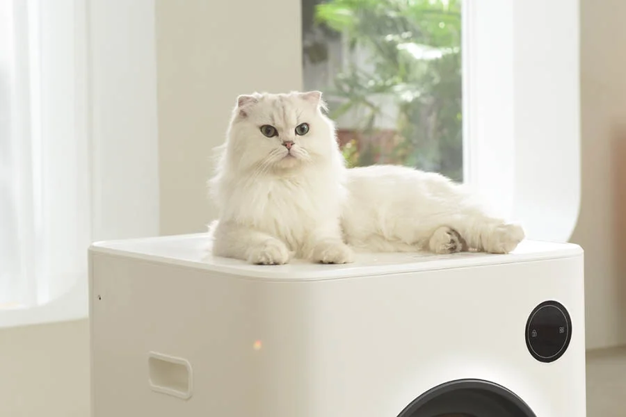 scoopfree automatic cat litter box