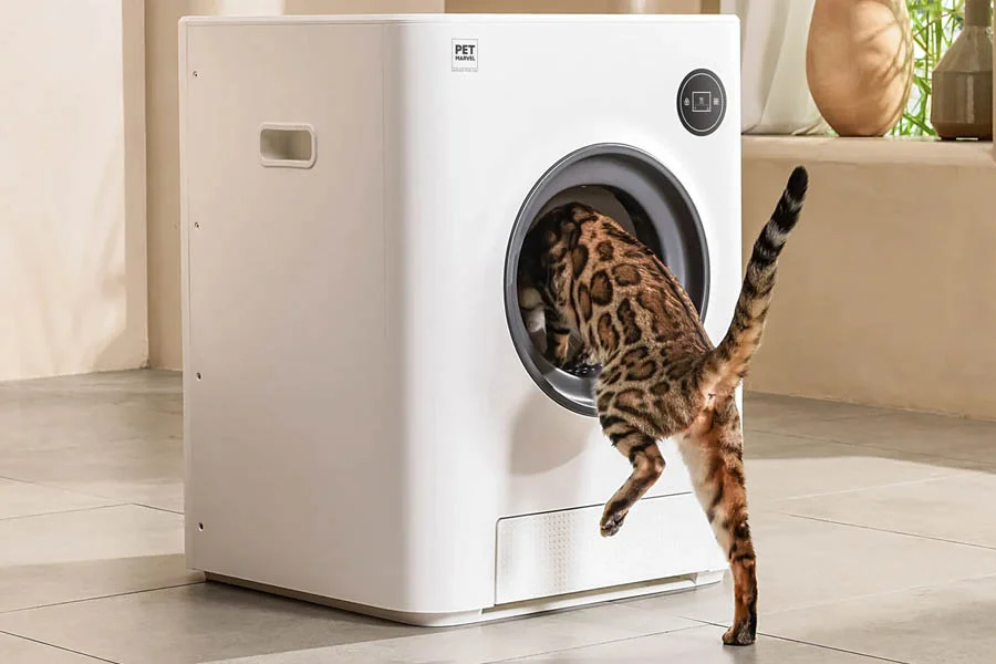 robotic kitty litter